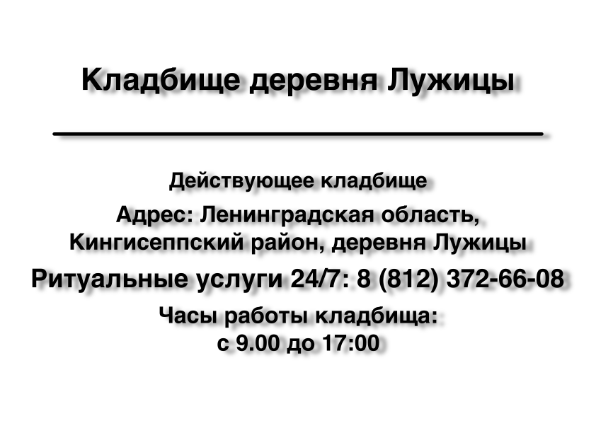 Кладбище деревня Лужицы