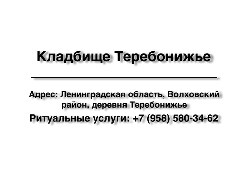 Кладбище в дер. Теребонижье (Волховский район) заказать ритуальные услуги