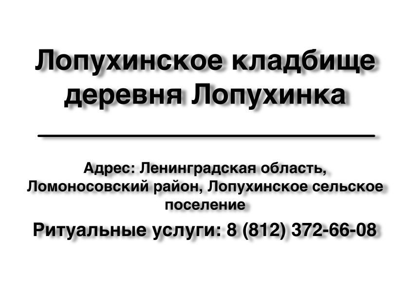 Лопухинское кладбище деревня Лопухинка (Ленинградская область) ритуальные услуги место на кладбище