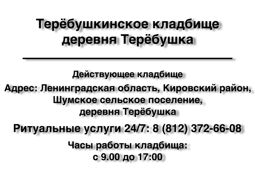 Терёбушкинское кладбище деревня Терёбушка Терёбушкинское кладбище деревня Терёбушка